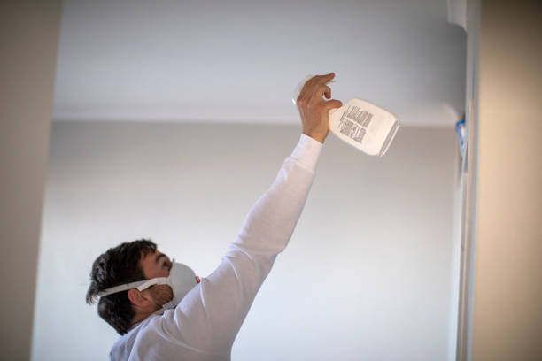 Wellington, UT Mold Removal Company