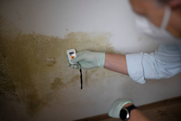 Water Damage Restoration in Wellington, UT