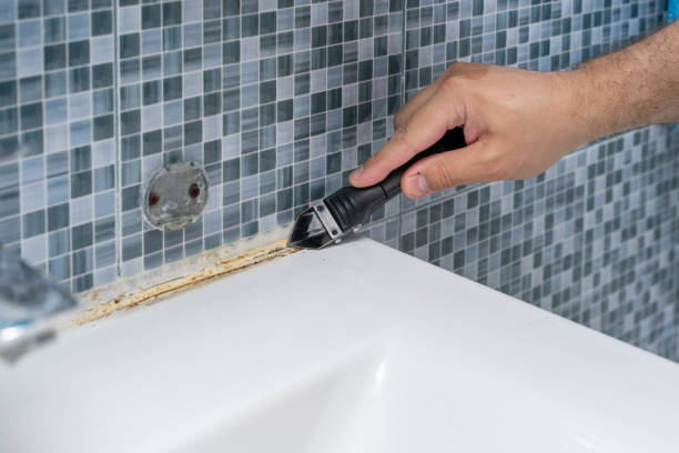 Best Best Mold Removal Companies  in Wellington, UT