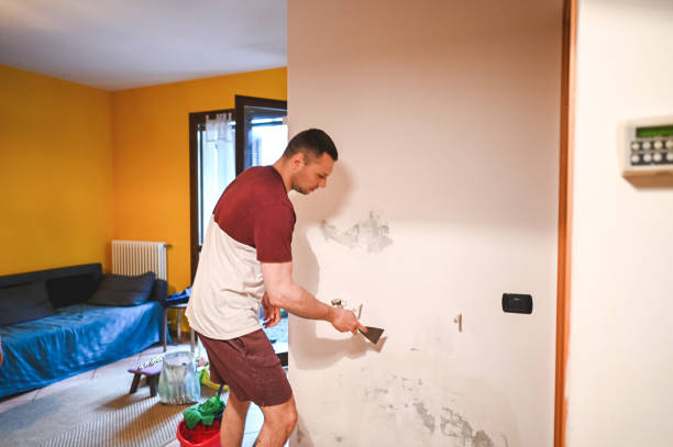 Best Black Mold Removal  in Wellington, UT